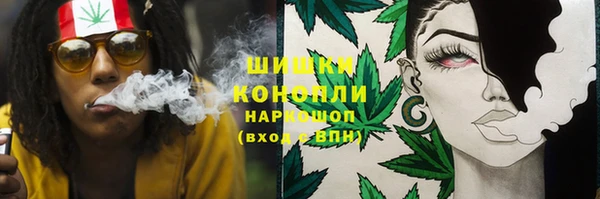 молекула духа Аркадак