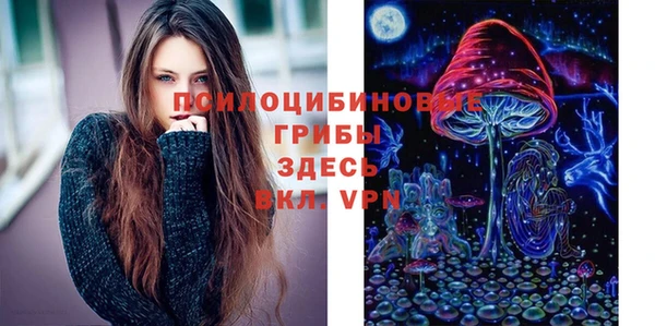 гидропоника Арсеньев