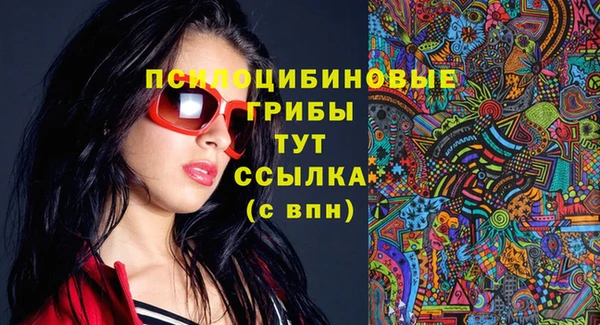 дмт Армянск