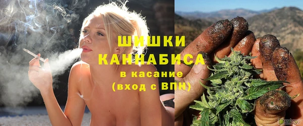 молекула духа Аркадак