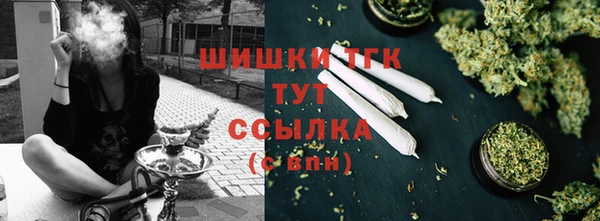 молекула духа Аркадак