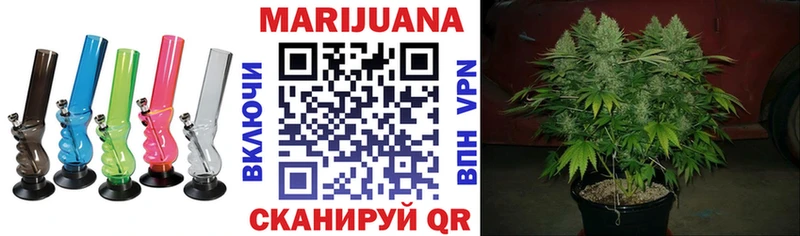 где купить   Новая Ладога  Конопля гибрид 